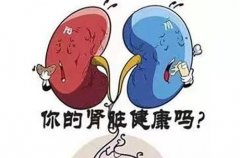 苏州国医堂孙嗣章：如何科学养护肾功能健康