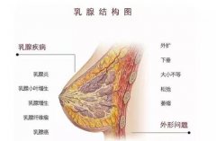 苏州国医堂张禾：中医辨证施治乳腺疾病