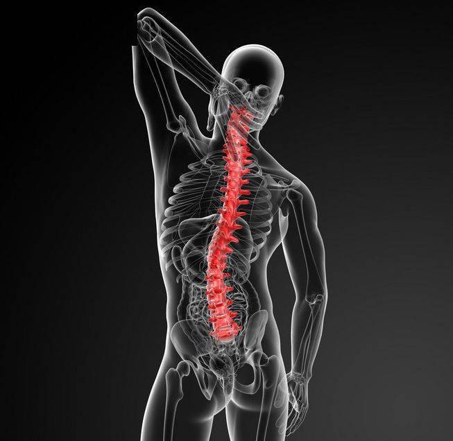 脊柱病的症状、引发因素及相关与预防(图1)